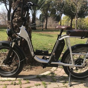 2020 Rad Power Bikes RadRunner Plus Silver, gray or bare metal