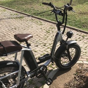 2020 Rad Power Bikes RadRunner Plus Silver, gray or bare metal