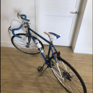 Schwinn Le Tour Classic Blue