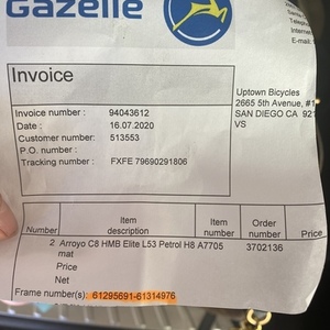 2020 Gazelle Arroyo Silver, gray or bare metal