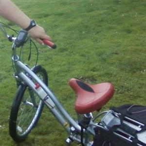 Electra Townie 21 Silver or Gray