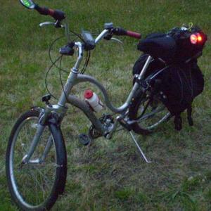 Electra Townie 21 Silver or Gray