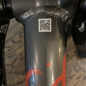 2021 Specialized P3 Silver, gray or bare metal