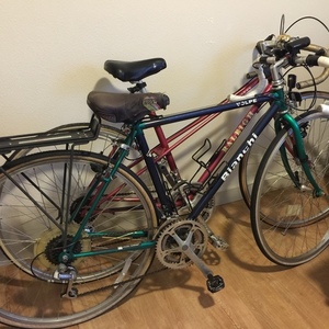 Bianchi Volpe Blue and Green