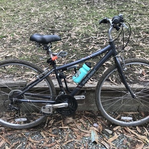 Raleigh Detour Silver, gray or bare metal