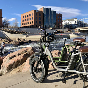 2021 Rad Power Bikes Rad Runner Plus Silver, gray or bare metal