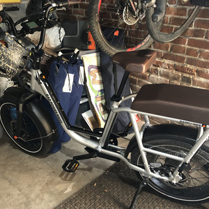 2021 Rad Power Bikes Rad Runner Plus Silver, gray or bare metal