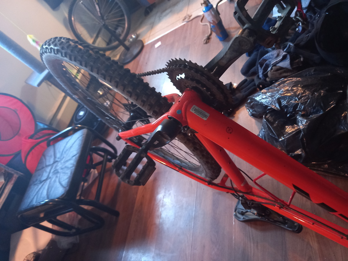 Bike photo