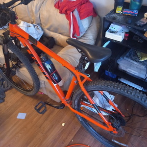 2019 Trek 19.5 xl Orange, Black, and Stickers tape or other cover-up