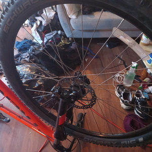 2019 Trek 19.5 xl Orange, Black, and Stickers tape or other cover-up