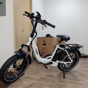 2021 Rize Bikes Folding White