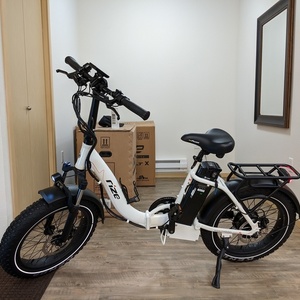 2021 Rize Bikes Folding White