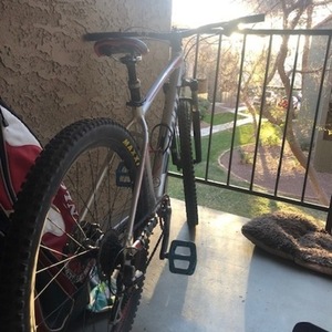 2019 Giant Talon Silver, gray or bare metal