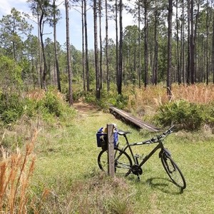 2015 Cannondale Quick Cx 5 Silver, gray or bare metal
