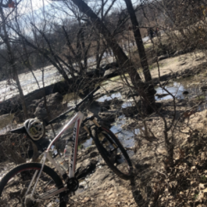 2016 Specialized Rockhopper Comp White