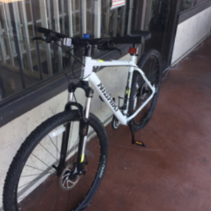 2019 Nishiki White