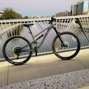 2021 Polygon Vander N7 Silver, gray or bare metal