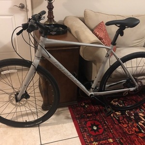 2021 Giant Escape Silver, gray or bare metal