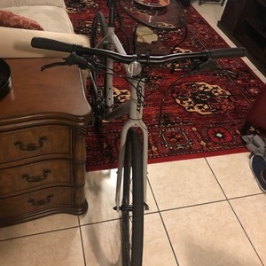 2021 Giant Escape Silver, gray or bare metal