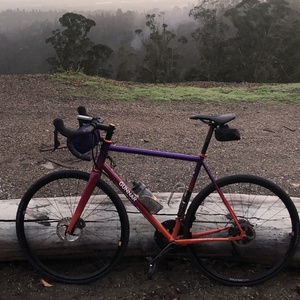 2020 Gunnar Roadie Pink and Purple