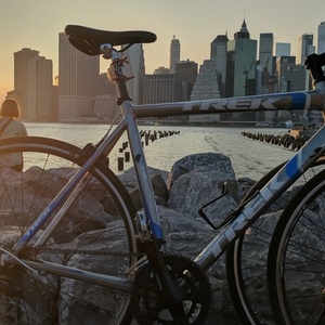 2011 Trek 2.1 Silver, gray or bare metal and Blue