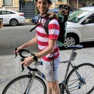 2011 Trek 2.1 Silver, gray or bare metal and Blue