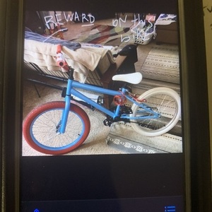 2020 Custom Bmx Blue