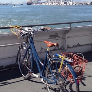 2012 Specialized Daily 2 Step-Through Blue