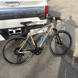 2019 Specialized Crosstrail Elite Brown and Black