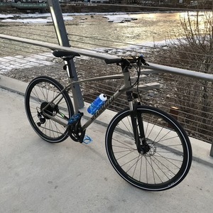 2019 Specialized Crosstrail Elite Brown and Black