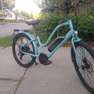 2020 Raleigh Teal