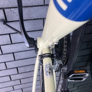 2020 Bianchi Torino Dama White and Blue