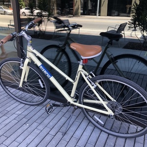 2020 Bianchi Torino Dama White and Blue