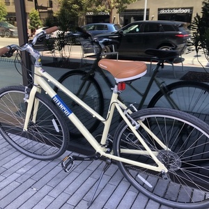 2020 Bianchi Torino Dama White and Blue