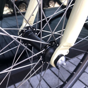 2020 Bianchi Torino Dama White and Blue