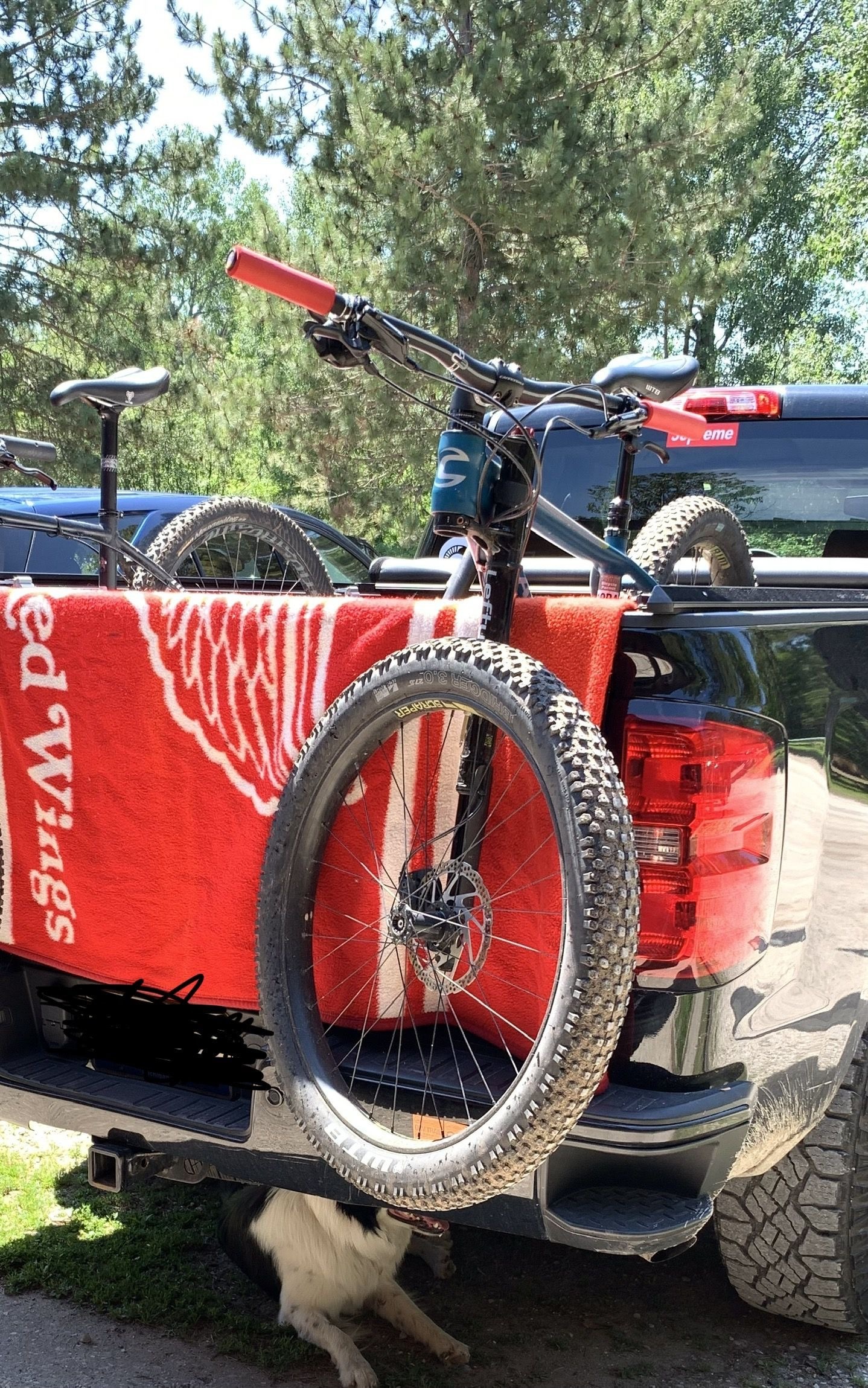 Stolen 2017 Cannondale Beast of the East 1