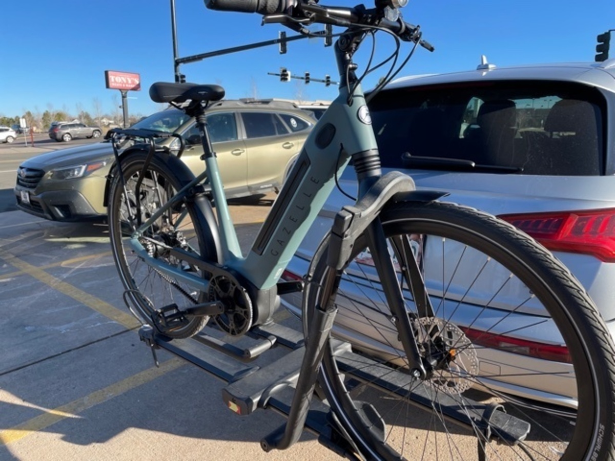 petrol night gazelle