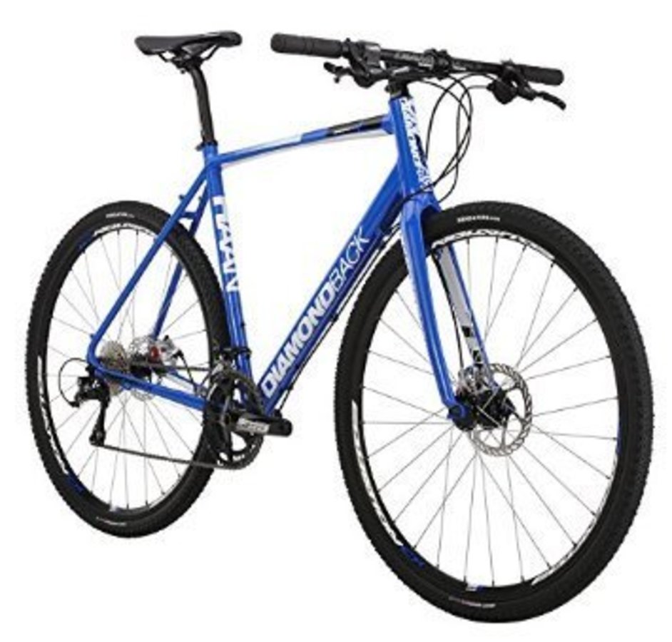 raleigh diamondback mountain bike