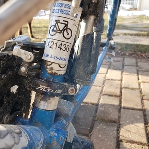 1990 Giant Iguana Blue