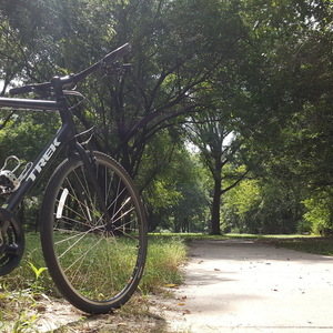 national bike registry lookup