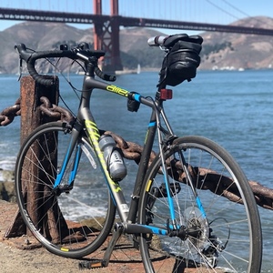2015 Specialized Allez Elite Black, Blue, and Yellow or Gold