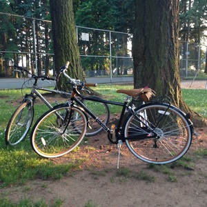 2015 Schwinn Black and Brown