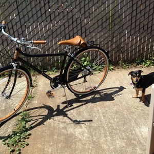 2015 Schwinn Black and Brown