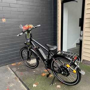 2020 Rad Power Bikes 6061 aluminum Black