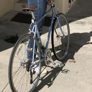 2017 PUBLIC bikes R24 Blue