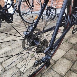 Trek Black