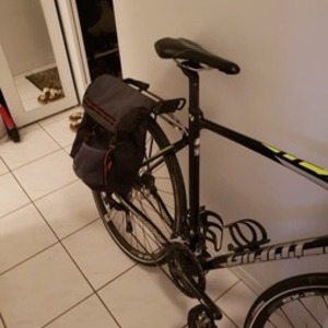 2017 Giant TCX SLR 2 Black, Silver, gray or bare metal, and Green