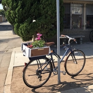 2015 Momentum Street Blue