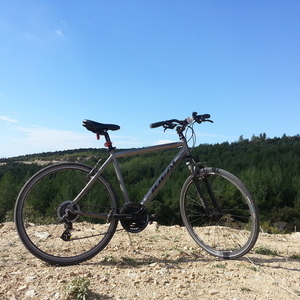 2012 Ideal Bikes Megisto Silver or Gray