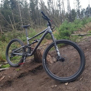 2020 Specialized Status Silver, gray or bare metal